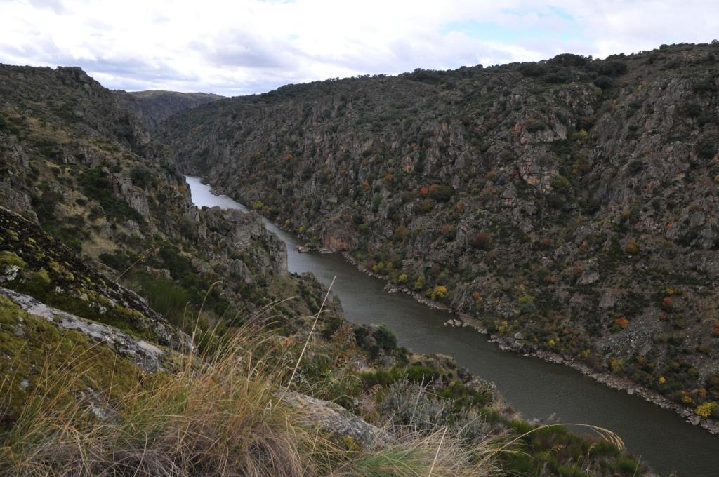 Posada Real La Mula de los Arribes Villardiegua de la Ribera Luaran gambar