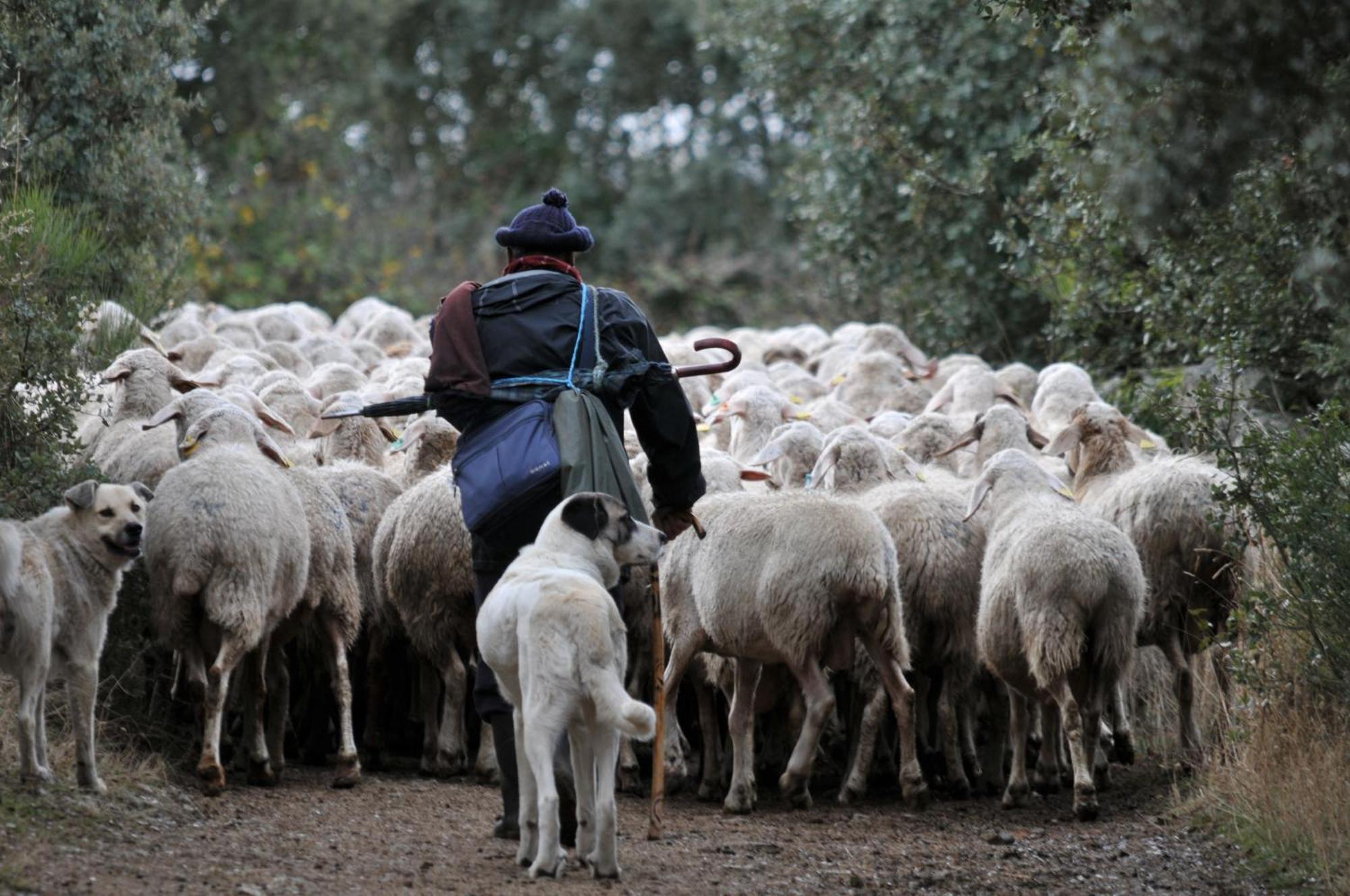 Posada Real La Mula de los Arribes Villardiegua de la Ribera Luaran gambar